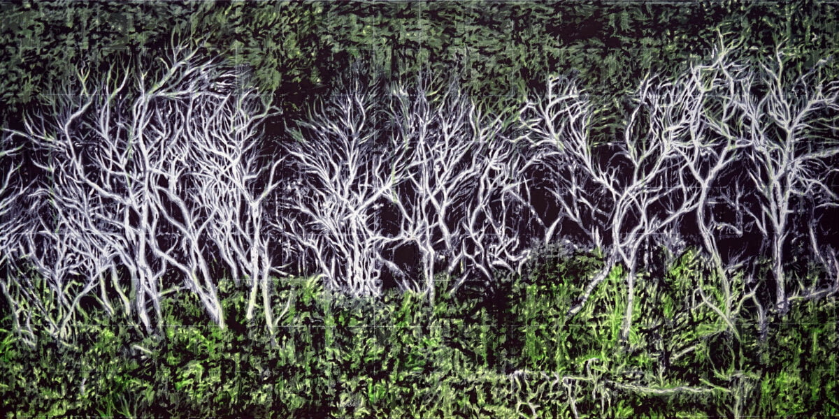Addis Beach Forrest
