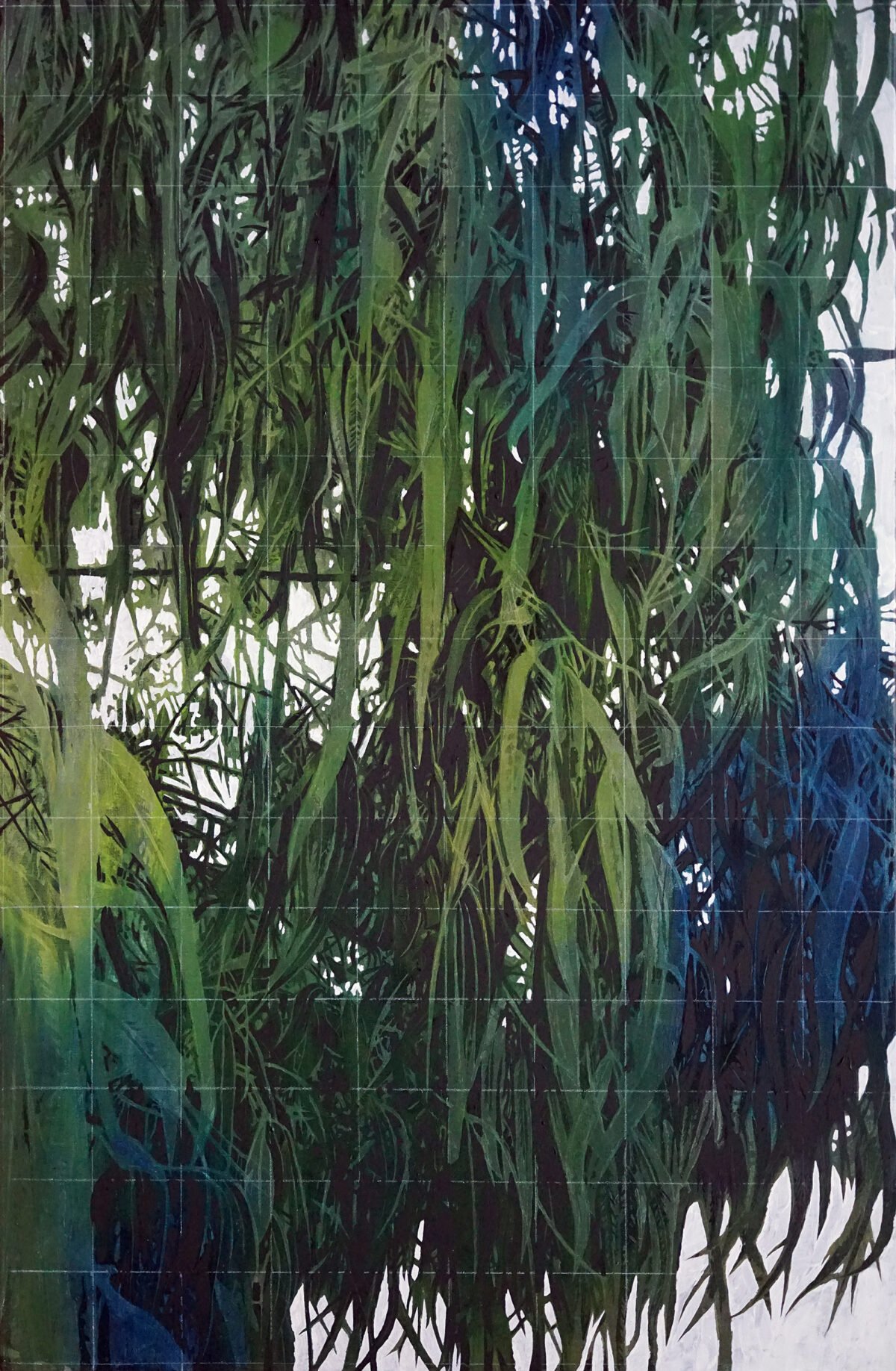 Spring Creek Eucalyptus