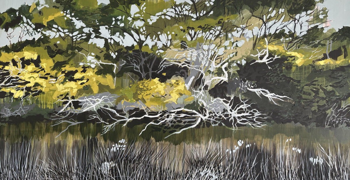 Spring Creek