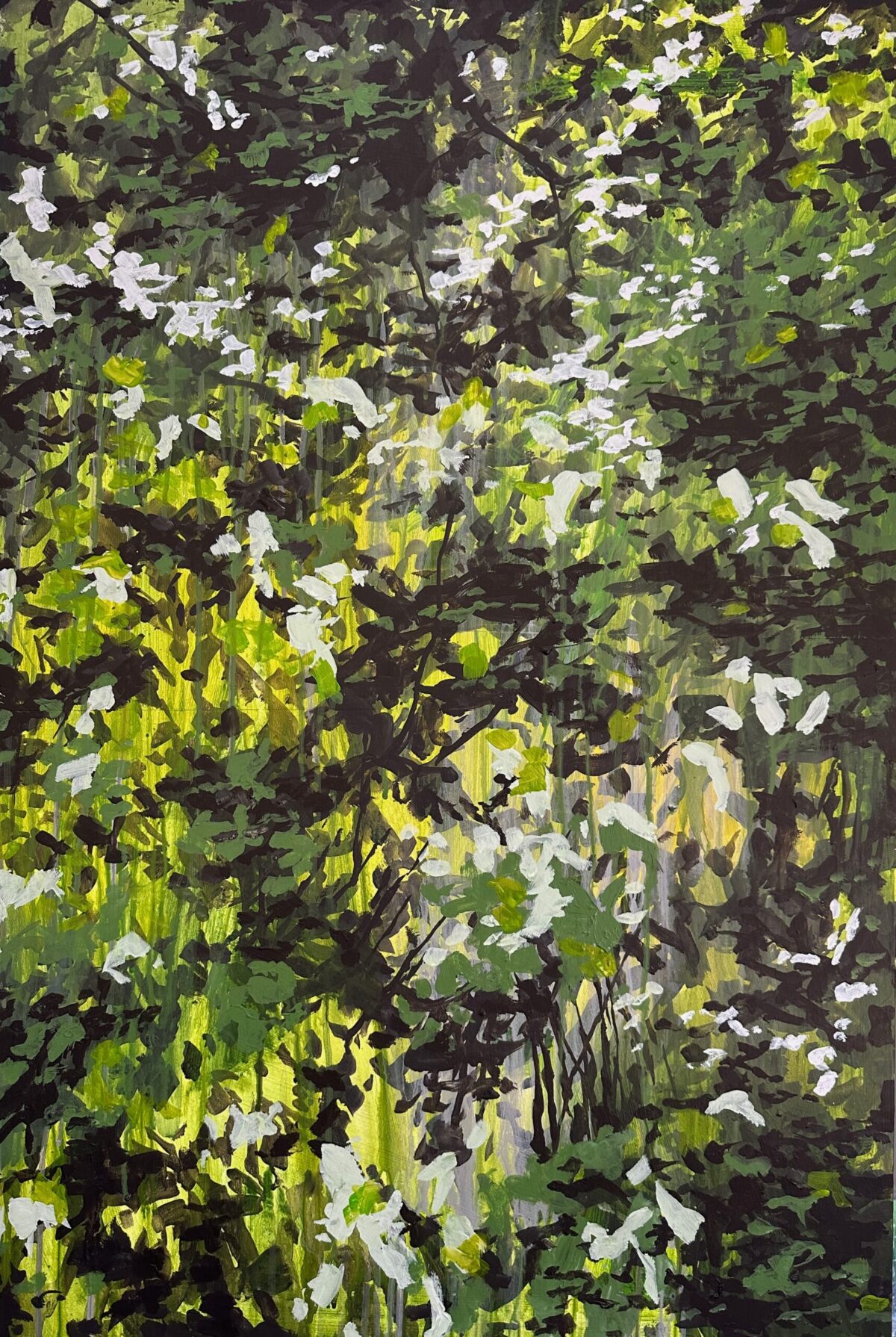 Addis Bush